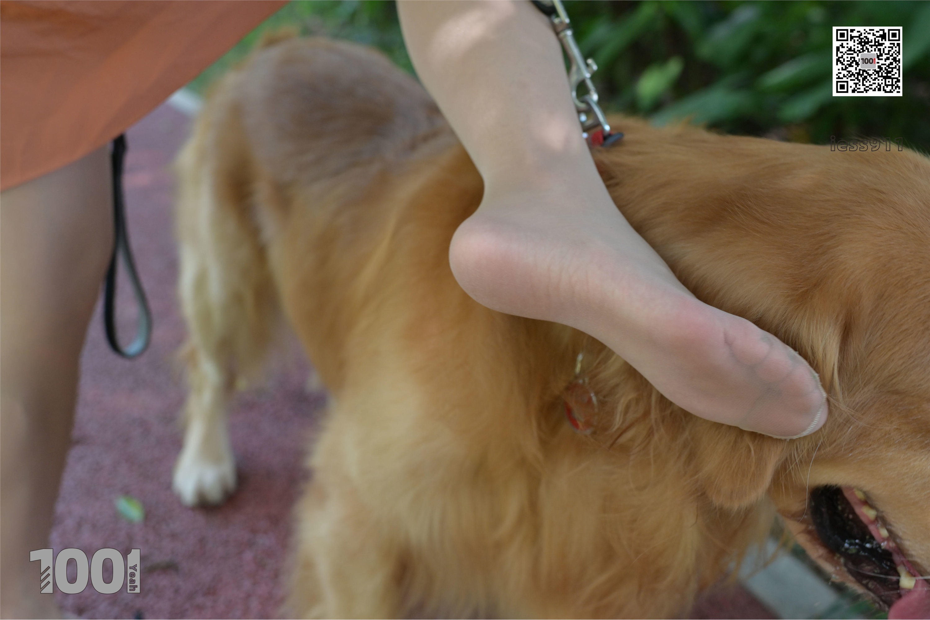 IESS异思趣向 一千零一夜 模特：真真《家有萌宠1》